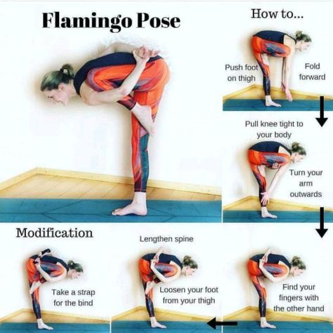 Quick Yoga Workout, Flamingo Pose, Hata Yoga, Quick Yoga, Ashtanga Vinyasa Yoga, Yoga Tutorial, Pilates Training, Sup Yoga, Yoga Posen