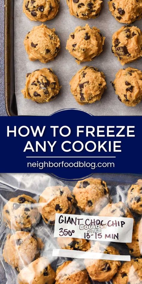 Sugar Cookie Cut Outs, Freeze Cookies, Freezing Cookies, Freezable Cookies, Freezer Cookies, Cookies And Bars, Drop Cookie Recipes, Freezing Food, Cut Out Cookie Recipe