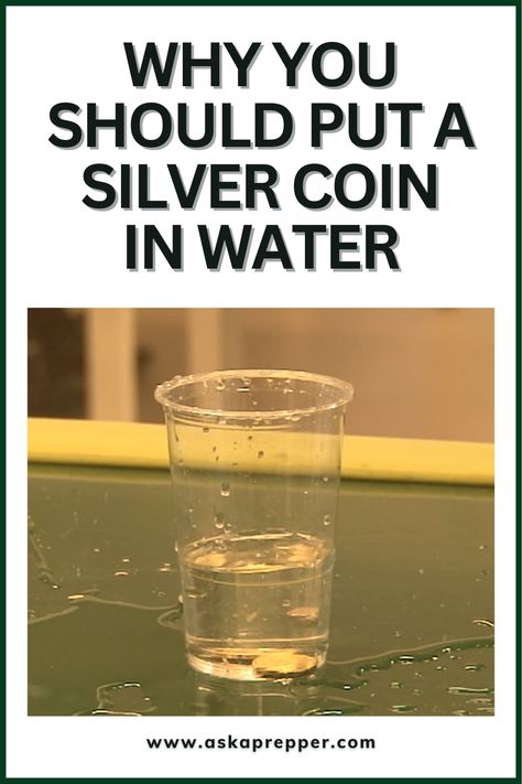 I know it sounds strange, but trust me on this. There is a very good reason why you should put a silver coin in water. And it will also help with your prepping skills: Cold Camping, Survival Preparedness, Storing Water, Water People, Structured Water, Medical Procedures, Clean Drinking, Survival Supplies, Water Benefits