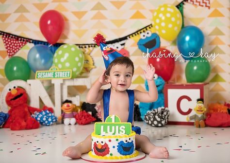 Elmo 1st Birthday Photo Shoot, Sesame Street Photoshoot Ideas, Elmo First Birthday Photoshoot, Elmo Birthday Photo Shoot, 1st Birthday Elmo Photoshoot, Elmo Photo Shoot Ideas, Sesame Street First Birthday Pictures, Sesame Street Birthday Photo Shoot, Sesame Street Photo Shoot