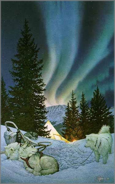 Scott Kennedy - Aurora Urban Mushing, Solstice Art, Masterpiece Art, Sled Dogs, Siberian Huskies, Winter Sky, Pretty Dogs, Dark Art Illustrations, Dog Sledding