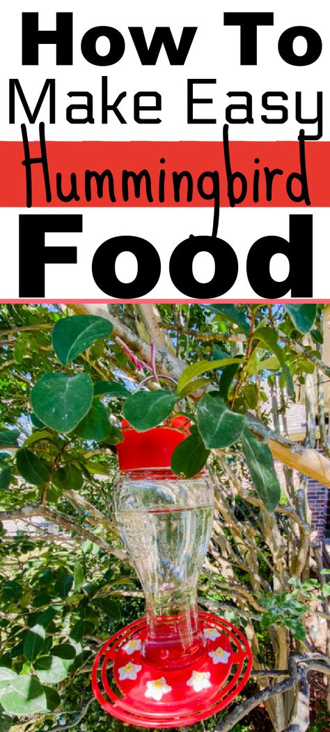 Hummingbird feeder with homemade hummingbird food Hummingbird Food Diy, Diy Hummingbird Food, Hummingbird Food Recipe, Homemade Hummingbird Nectar, Homemade Hummingbird Food, Hummingbird Food, Hummingbird Nectar, Red Dye, Natural Food Coloring