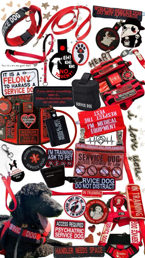 Service dog gear #servicedog#servicedogs#servicedoggear#dogs#dog#doggear#red#redgear Service Dog Gear, Psychiatric Service Dog, Service Dog Patches, Detection Dogs, Dog Training School, Dog Organization, Service Dogs Gear, Dog Grooming Shop, Cat Kennel