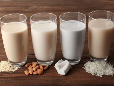 There are many different types of milk available on the market these days. Most common types of milk include oat milk, skim milk, lactose-free milk, soy milk, & rice milk Healthy Milk Recipes, Healthy Milk, Hemp Milk, Lactose Free Milk, Dairy Industry, Vegan Milk, Cashew Milk, Lactose Intolerant, Milk Alternatives