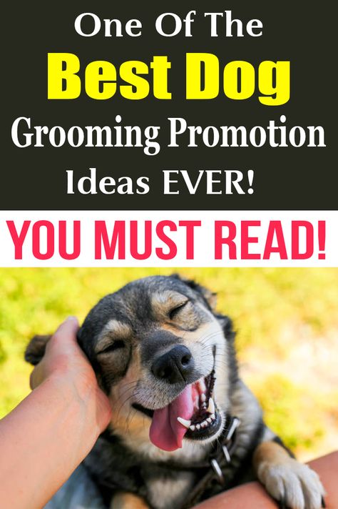 Dog Grooming Ideas Business, Dog Grooming Marketing Ideas, Dog Grooming Social Media Posts, Garage Grooming Salon, Small Dog Grooming Salon Ideas, Pet Grooming Advertising, Pet Grooming Salon Ideas Design, Grooming Salon Ideas Design, Dog Business Ideas