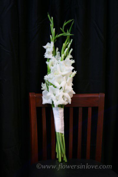 Gladioli arm sheaf White Gladiolus Wedding Bouquet, Gladiolus Bridal Bouquet, Gladiolus Wedding Bouquet, Gladiolus Poppy, Bride Flowers Bouquet, Gladiolus Wedding, Gladiolus Bouquet, Im Engaged, Modern Bridal Bouquets