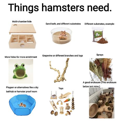 Hamster Fairy Cage, Hamster Must Haves, Pet Hamster Cage, How To Take Care Of Hamsters, Mouse Cage Diy, Hamster Accessories Diy, Hamster Care Checklist, Diy Hamster Enrichment, Syrian Hamster Cage Ideas