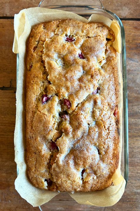 This citrusy buttermilk quick bread is moist, tender and packed with sweetly-tart fresh rhubarb. With bright notes of orange, cardamom and vanilla, it’s a celebration of fresh spring flavours! *Notes on how to make your own buttermilk or to make it dairy free are included in the blog post. | #rhubarbbread #quickbread #rhubarbrecipes #rhubarb #citrus #cardamom #brunchideas #homemadebread Orange Rhubarb Bread, Rhubarb Orange Muffins, Rhubarb Quick Bread Recipes, Rhubarb Quick Bread, Rhubarb Cardamom, Rhubarb Bread Recipe, Recipes Muffins, Rhubarb Bread, Fresh Rhubarb