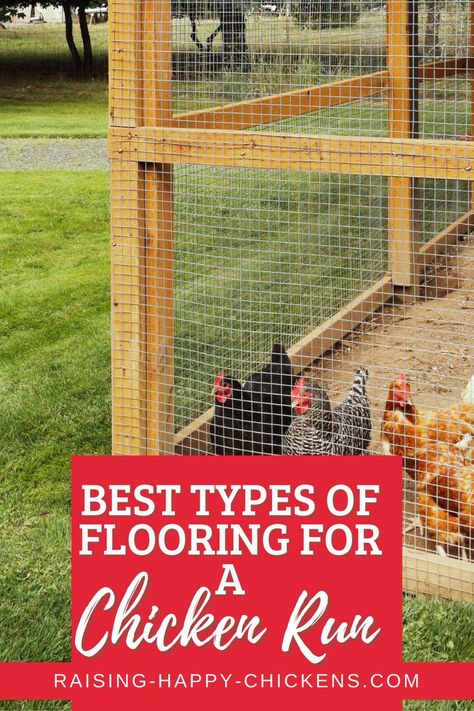 Concrete Floor Chicken Run, Chicken Coop Base Ideas, Chicken Flooring Ideas, Best Chicken Run Flooring, Homemade Chicken Run, Best Chicken Coop Flooring, What To Put In Chicken Run, Chicken Run Bedding, Chicken Coop Run Flooring