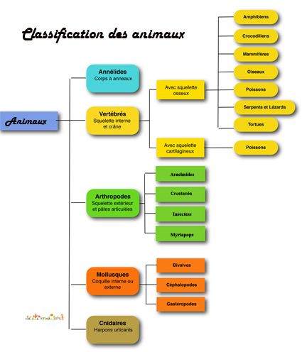 Les êtres vivants, la classification des êtres vivants / Dossier l'écologie et le vivant l Écologie discipline de la biologie Big Data Technologies, Biology Lessons, Cycle 3, French Lessons, Korean Words, Science For Kids, Big Data, Biology, Activities For Kids