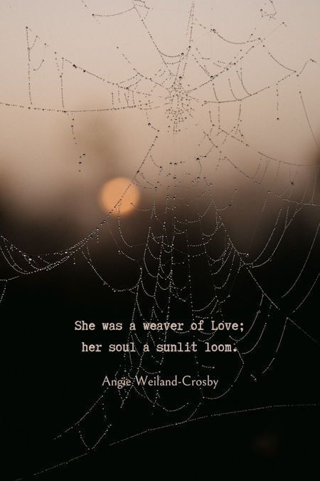 Beautiful Motherhood Quote | Quotes as Soul Soothers | An image of a spider web and enchanting sunlight by Annie Spratt | "She was a weaver of Love; her soul a moonlit loom." Angie Weiland-Crosby #quotes #soulful #lovequotes #motherhoodquote #spiderwebe #sun #anniespratt #blogging #soul #love #angieweilandcrosby #momsoulsoothers Spiderweb Quotes, Free Soul Quotes, Soul Sister Quotes, Annie Spratt, Villa Astor, Beautiful Soul Quotes, Sunrise Tattoo, Web Quotes, Quotes Spring