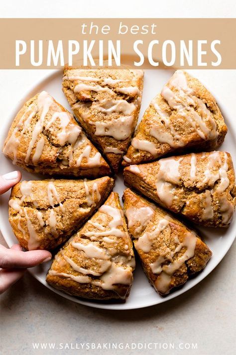 Delicious and flaky pumpkin scones with maple icing! The best pumpkin spice fall breakfast! Easy scone recipe on sallysbakingaddiction.com Easy Scone, Pumpkin Scones Recipe, Maple Icing, Scones Recipe Easy, Scones Easy, Breakfast Easy, Pumpkin Scones, Sally's Baking, Pumpkin Recipes Dessert