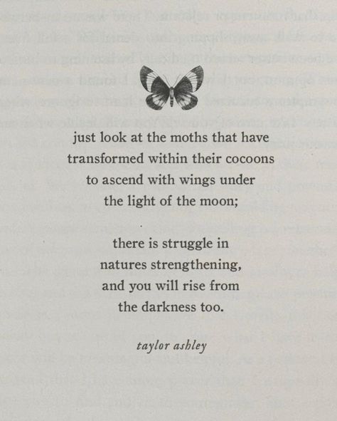 You will rise from the darkness too 🦋🌙 @taylorashleypoetry #butterfly #risingwoman #transformation #metamorphosis #moth #preraphaelite #womanartist Moth Quotes, Moth Quote, Metamorphosis Quotes, 2025 Rebrand, Butterfly Poems, Metamorphosis Art, Butterfly Transformation, Butterfly Metamorphosis, Feminine Artwork