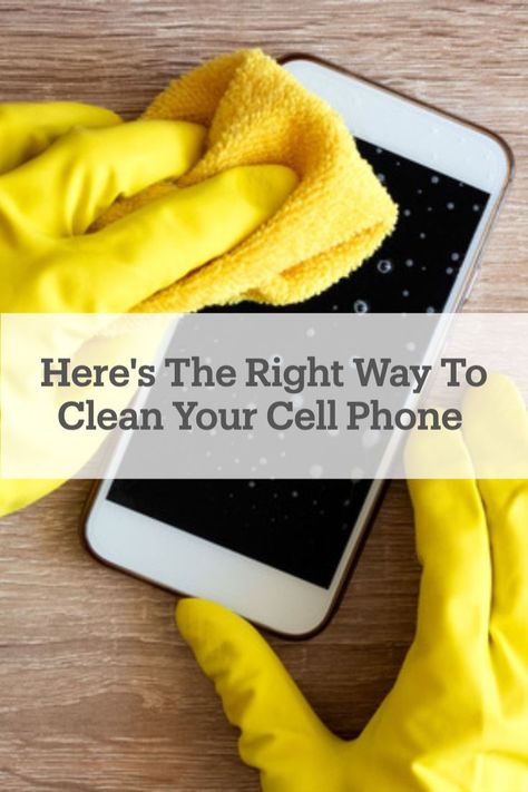 With our cell phones being a huge part of our lives, cleaning and sanitizing your phone is crucial! Find out the correct way to clean all those hidden germs off your #phone! 📱 How To Clean Phone, Cleaning Phone, Iphone Information, Clean Phone, Cell Phone Screen, Cell Phone Covers, Gas Station, Phone Screen, Cell Phones