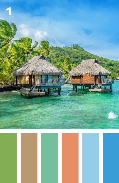 She Shed Designs, Summer Color Palettes, Beach Color Palettes, Color Catalog, Color Schemes Colour Palettes, Beach Color, Pallet Painting, Summer Cottage, Shed Design