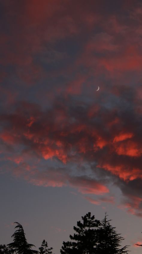 Moon At Sunset, Moon With Sunset, Apple Desktop Wallpaper, Coolest Wallpapers Ever, Sunset Moon Aesthetic, Sunset With Moon, Moon And Sunset, Pastel Autumn, Dark Sunset