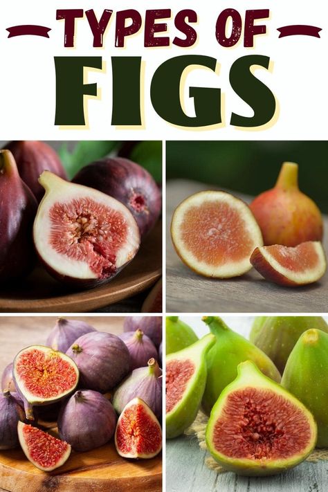 Different types of figs range from Brown Turkey to Black Mission, to Adriatic and Celeste. Try them all for sweet recipe additions! Types Of Figs, Brown Turkey Fig Recipes, Basalmic Glaze, Fig Recipes Fresh, Growing Fig Trees, Fig Varieties, Black Mission Fig, Fig Trees, Edible Seeds