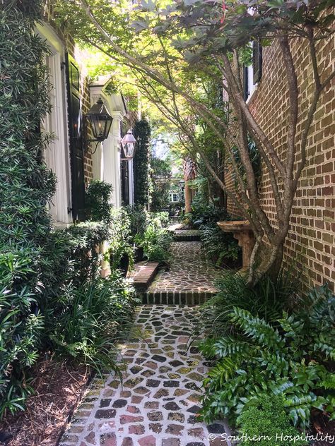 Charleston Gardens, Garden Pathways, Side Yard Landscaping, Small Courtyard Gardens, Small Courtyards, Side Garden, Trellis Design, Southern Hospitality, Garden Pathway