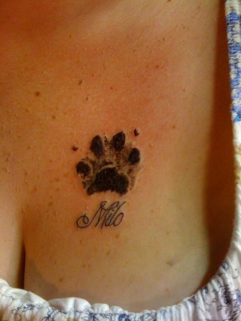 Milo name and pawprint tattoo on my chest. Milo Tattoo, Milo Name, Pet Memorial Tattoo, Pawprint Tattoo, Memorial Tattoos, Dog Tattoos, Time Tattoos, Chest Tattoo, Animal Tattoos