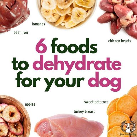 Your Natural Dog with Angela Ardolino on Instagram: "With the cost of goods rising, it may be time to consider DIY dog treats! 🦴 Angie's favorites? Anything that is single-ingredient, which boils down to whole, real food! 🥩 Dehydrating simply means taking the moisture out of something, and although that sounds complicated, it's quite simple! 💦 Step ☝️ : Buy your dog's favorite meat, fruit, or vegetables! Step ✌️ : Slice it up. Step 🤟 : Put it into the dehydrator for a certain length of t Dehydrate Chicken, Dehydrator Dog Treats, Meat Dog Treats, Dog Treats Diy, Apple Turkey, Chicken Hearts, Dog Treats Recipe, Chicken Heart, Dog Biscuit Recipes