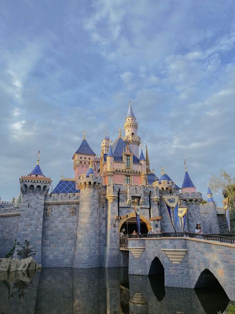 Coaster Inspiration, Disney Castles, Disneyland Ca, Disneyland Princess, The Kingdom Of Magic, Planet Coaster, Disneyland Castle, Disney Photo Ideas, Splash Mountain