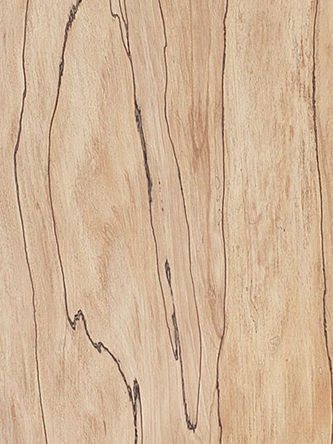 Spalted Beech Veneer Beautiful Figure, Modern Interiors, Wood Veneer, Colour Tone, Modern Interior, Interior Architecture, White Color, Architecture, Wood