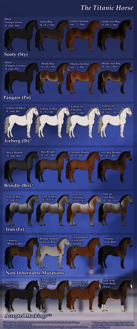 Centaur Names, Cow Centaur, Centaur Female, Centaur Oc, Female Centaur, Oc Things, Animal Comics, Horse Facts, Horse Games