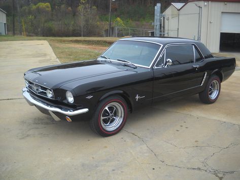 65 Ford Mustang, Black Ford Mustang, Mustang Car Aesthetic, 2023 Ford Mustang, Hyundai Grandeur, Mustang Black, Ford Mustang 1965, Ford Mustang 1964, Cool Truck Accessories