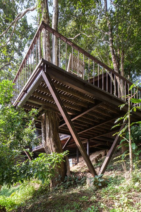 Gallery of Hill Lodge / SOOK Architects - 20 Small Tree House, Hillside Deck, Treehouse Cabins, Tree House Plans, Hillside House, House On Stilts, Tree House Designs, Craftsman Style House, House Deck