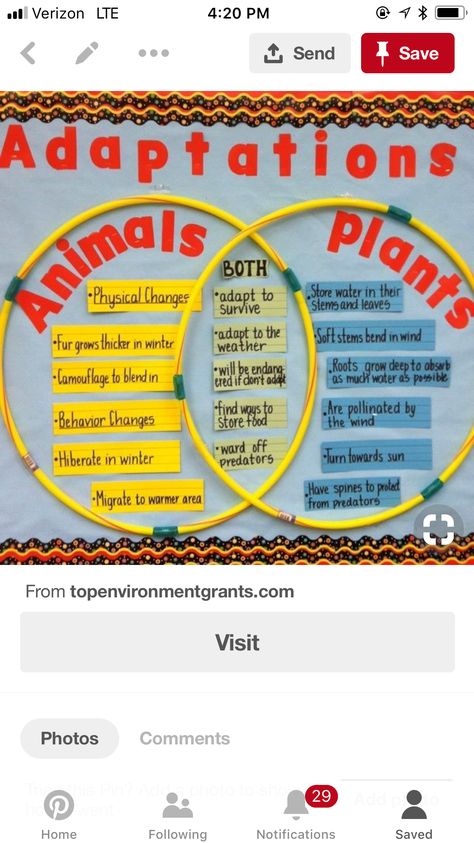 This image is a great reminder of how to have students compare and contrast animal adaptations.  The large model will allow students to interact and discuss the content in a whole class or small group setting. Adaptations.  Screenshot of image taken on June 27, 2018. Growth And Changes In Animals Grade 2, Animal Adaptations Project, Plant Adaptations Anchor Chart, Adaptation In Animals, Animal Adaptations Anchor Chart, Adaptations Anchor Chart, Science Tlm, Animal Adaptations Activities, Adaptations Science