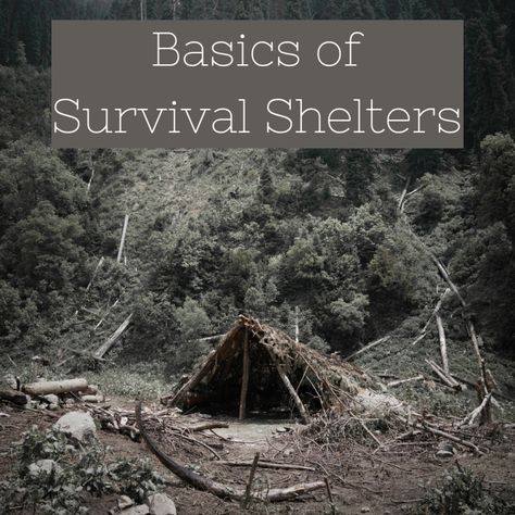 Basics of Survival Shelters Survival Shelter Long Term, Temporary Shelter, Emergency Shelter, Fire Inside, Lost In The Woods, Survival Shelter, Natural Disaster, Wild Edibles, River Bank