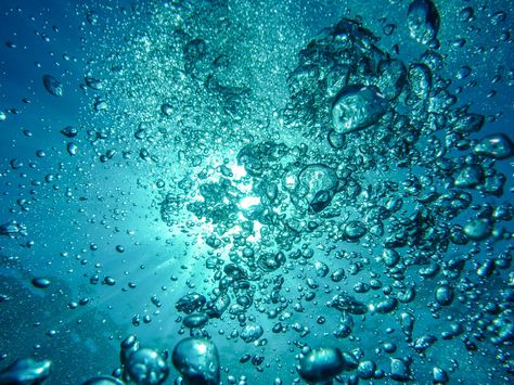 Underwater Bubbles, Monterey Bay Aquarium, Water Bubbles, 背景 シンプル, White Noise, Underwater Photography, Art Plastique, Blue Aesthetic, Rafting