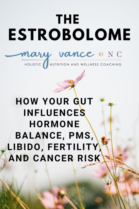 Holistic Health Nutrition, Low Estrogen Symptoms, Too Much Estrogen, Nutrition Consultant, Balance Hormones Naturally, Low Estrogen, Womens Health Care, How To Regulate Hormones, Nutrition Articles