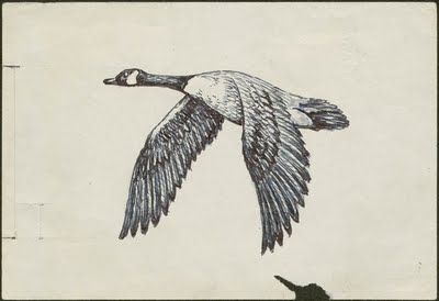 Flying Geese Drawing, Canadian Geese Drawing, Canadian Geese Tattoo, Canada Goose Drawing, Canadian Goose Art, Canada Goose Tattoo, Canadian Goose Drawing, Canadian Goose Tattoo, Wild Geese Tattoo