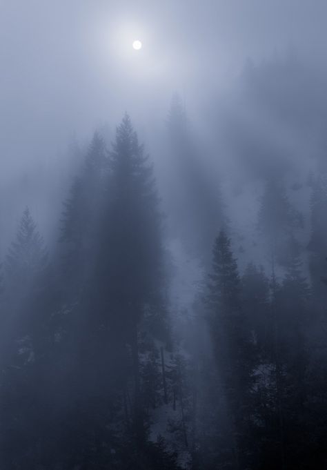 Winter Night Aesthetic, Foggy Trees Wallpaper, Stormy Forest Aesthetic, Dark Foggy Forest Aesthetic, Misty Night, Dark Gloomy Forest, Sun Photo, Foggy Forest Black And White, Good Night Moon