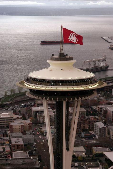 WSU at the Space Needle Wsu Cougs, Apple Cup, Space Needle Seattle, Fat Joe, Lean Back, Washington State University, Washington State Cougars, Dream College, University Of Washington