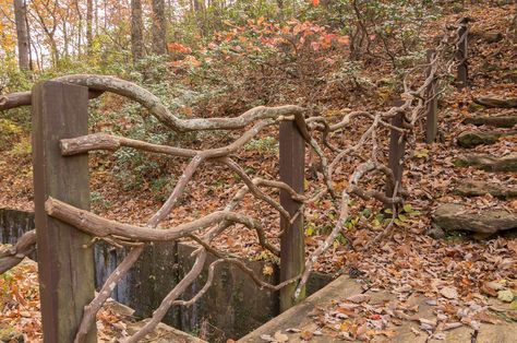 Forest Fence Ideas, Woodland Fence, Deer Fence Garden Gate, Bear Fencing, Gothic Fence, Medieval Garden, Natural Fence, Horse Stable, Fire Escape