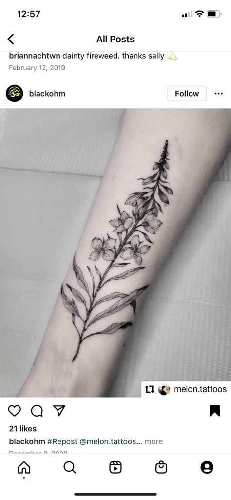 Fireweed Tattoo Black, Fireweed Flower Tattoo, Alaska Fireweed Tattoo, Alaskan Fireweed Tattoo, Alaska Tattoos For Women, Fireweed Drawing, Alaska Tattoo Ideas, Fireweed Tattoo, Alaskan Tattoos