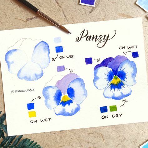 Pansies Painting, Painting Pansies, Box Sketch, Watercolor Templates, Pansy Flowers, Learn Watercolor Painting, Flower Drawing Tutorials, Watercolor Flowers Tutorial, Instagram Painting