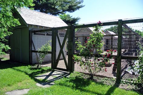 Enclosed Chicken Coop, Chicken Fence, Pet Chicken, Backyard Garden Diy, Garden Layout Vegetable, Backyard Vegetable Gardens, Uses For Coffee Grounds, Vegetable Gardens, Veg Garden