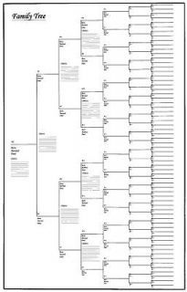 50 pack of large family tree charts 18 x 24 Family Tree Forms, Tree Worksheet, Blank Family Tree Template, Family History Crafts, Free Family Tree Template, Blank Family Tree, Make A Family Tree, Reading Chart, Family Tree Printable