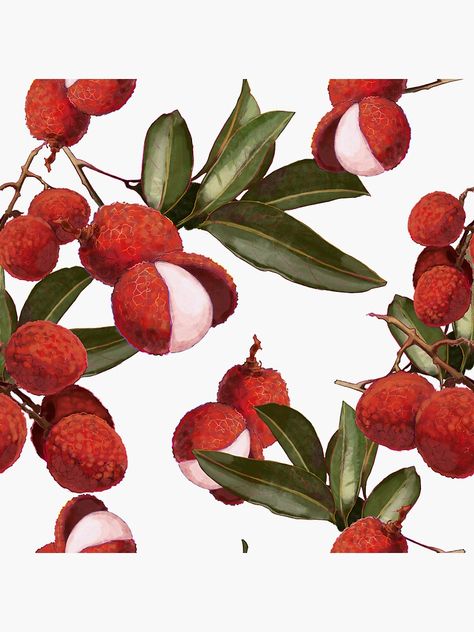 Lychee Illustration, Lychee Martini, Lychee Fruit, Nature Pattern, Fruit Pattern, Living Room Pictures, Patterns In Nature, Dnd Characters, Bottle Design