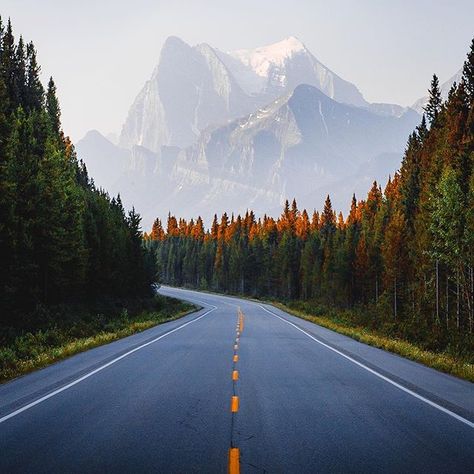 Jake Guzman (@jguzmannn) • Instagram photos and videos Beautiful Roads, Image Nature, Canadian Rockies, Banff National Park, Beautiful Places In The World, Canon Photography, In The Mountains, Nature Travel, Most Beautiful Places