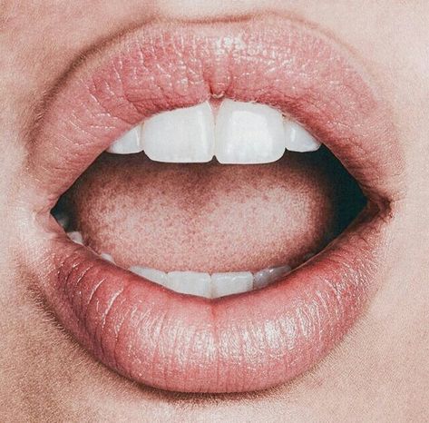 Mouth Anatomy, Lips Photo, Ig Highlights, Face Study, Lip Gloss Colors, Face Reference, Hot Lips, Teeth Care, Oral Health Care