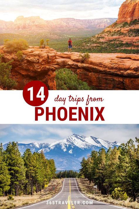 On a vacation to Phoenix, Arizona, or other parts of the Valley of the Sun, the natural wonders alone could keep you busy during your entire trip. Still, should you decide to venture outside of the Arizona capital area, there are plenty of amazing day trips nearby. Here are 14 day trips from Phoenix that we know you and your crew will love! Day Trips From Phoenix Az, Sun City Arizona, Arizona Day Trips, Phoenix Travel, Arizona Vacation, Spring City, Phoenix Arizona, Road Trippin, Arizona Travel