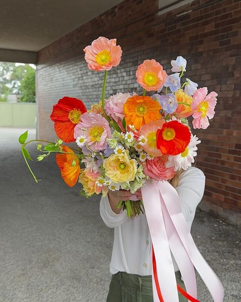 A bridal bouquet with every colour poppy? Absolutely! 💛🧡🩷❤️ Poppies Flower Arrangement, Poppy And Daisy Bouquet, Poppies Bridal Bouquet, Bridal Bouquet Ideas Summer, Red Poppy Bouquet, Poppies Wedding Bouquet, Poppy Arrangements, Colourful Wedding Bouquet, Wedding Poppies