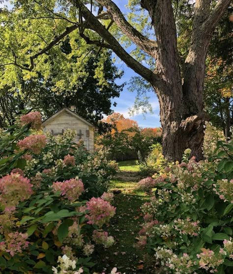 Cottagecore Garden, Woodland Cottage, Cottage Aesthetic, French Country Garden, Luxury Garden, Chinese Garden, Country Gardening, Small Backyard Landscaping, Nature Aesthetic