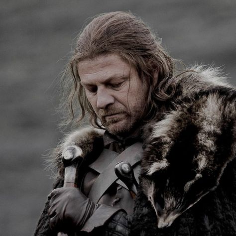 Game Of Thrones Images, Eddard Stark, Epic Hair, Tv Dads, Salon Wear, Ned Stark, Game Of Thrones Books, Sean Bean, Avatar Cartoon