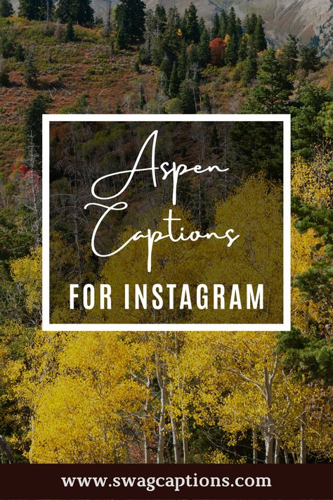 Looking for the perfect caption or quote to post with your Aspen photos on Instagram? Look no further! We've gathered some of our favorite captions and quotes specifically about Aspen, so you can show off your love for this beautiful mountain town. Whether you're a local or just visiting, these captions will help you capture the magic of Aspen in a photo. #aspencaptions #aspenquotes #aspen #colorado #aspencolorado #vail #mountains #nature #denver #aspensnowmass #skiing #ski #snowmass #aspenco Colorado Quotes, Summer Instagram Captions, Aspen Snowmass, Tree Quotes, Perfect Captions, Ig Captions, Snow Much Fun, Paris Summer, Quotes For Instagram