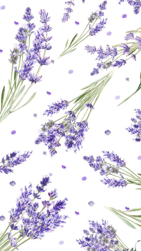 Lavender Macbook Wallpaper, Lavender Background Wallpapers, Purple Aesthetic Iphone Wallpaper, Lavender Wallpapers, Small Business Ideas Products, Lavender Wallpaper, Purple Flowers Wallpaper, Floral Wallpaper Iphone, Paper Background Design